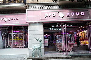 廣東佛山pro gava案例展示